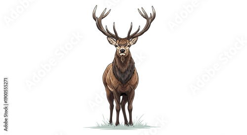 Majestic Stag with Antlers Standing Proudly on Green Grass, Isolated