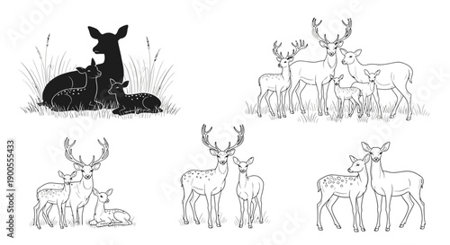 Various Deer Families, Including Fawns and Stags, in Art and Silhouette