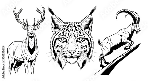 Deer, Lynx, and Ibex Wildlife Animal Illustrations Set - Black and White Art
