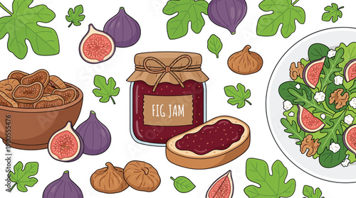 Fig jam food illustration set, fresh fruit leaves bread salad composition, hand drawn vector, healthy natural design