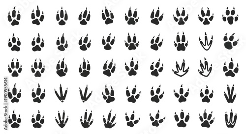 Collection of diverse animal paw prints and footprints on a white background