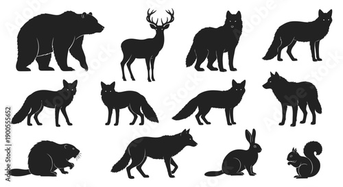 Set of Black Silhouettes of Wild Forest Animals on a White Background