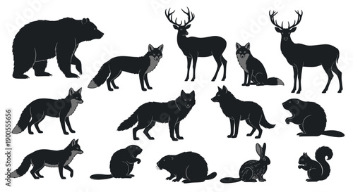 Collection of Black Silhouettes of Forest and Wildlife Animals on White Background