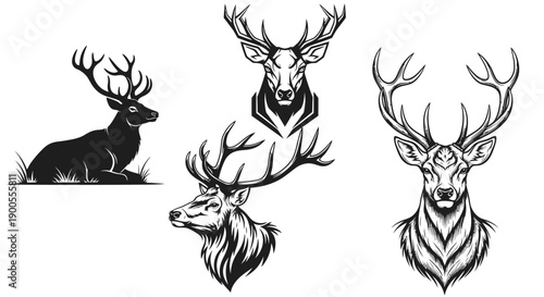 Set of Majestic Deer Illustrations: Sitting Stag, Head Profile, and Frontal View