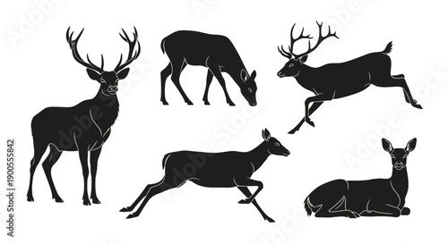 Silhouette Collection of Diverse Deer Poses: Standing, Grazing, Running, and Resting