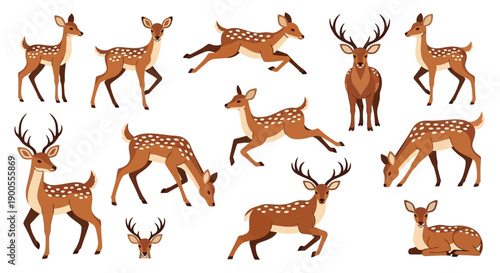 Collection of Cute Deer and Fawns in Various Poses, Cartoon Style