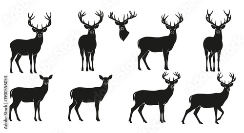 Set of Black Deer Silhouettes in Various Poses and Antler Styles
