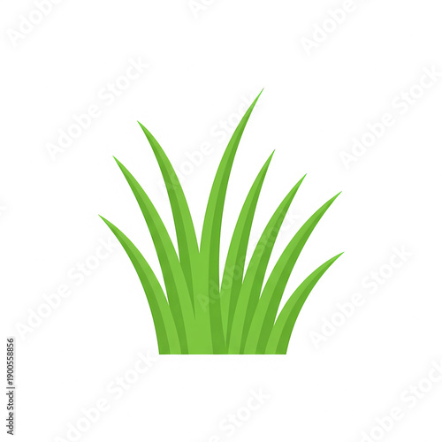 fresh green grass png aesthetic