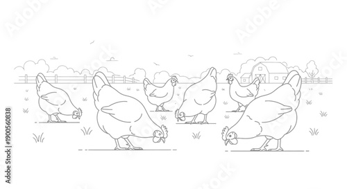 Simple black and white line art illustration depicting several chickens foraging together in a grassy farm field near a distant barn structure