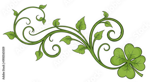 A green clover and vine illustration on transparent background