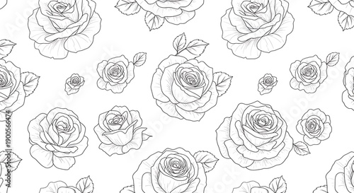 Seamless Line Art Rose Pattern, White Background