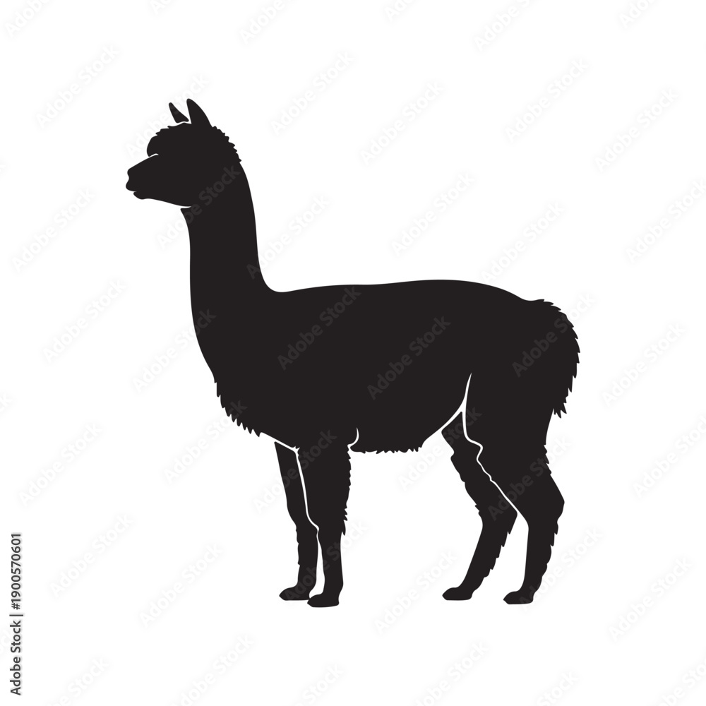 Obraz premium Alpaca silhouette vector flat design on white background. 