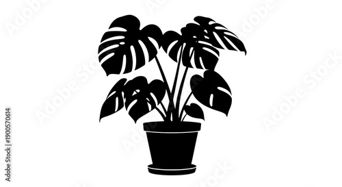 A black silhouette of a Monstera Deliciosa plant in a pot with a saucer, isolated on a white background.