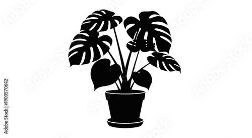 A silhouette of a potted Monstera Deliciosa plant with large, fenestrated leaves.
