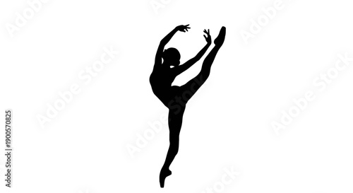 Silhouette of a graceful ballerina performing a high leg extension in a dance studio.