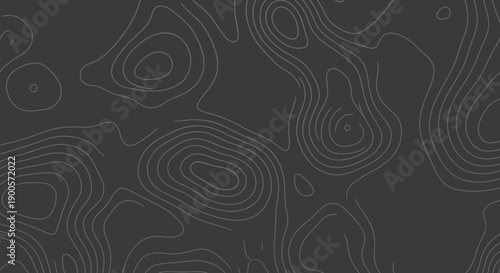 Abstract topographic map lines on a dark gray background, representing elevation contours.