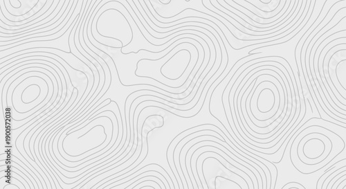Abstract light grey topographic map pattern with flowing contour lines on a subtle grey background, creating a modern and minimalist design.