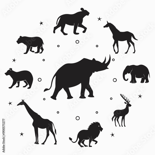Photography wild animals silhouettes