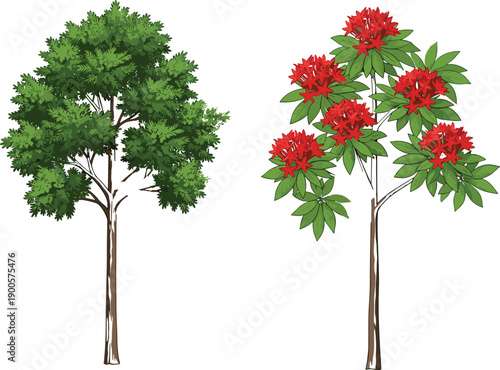 Hand Drawn Vector Illustration of Green Leafy Tree and Tropical Flowering Plant with Red Blossoms Isolated on White Background Set