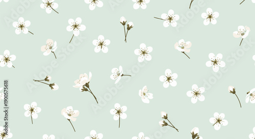 Beautiful seamless pattern of delicate white cherry blossoms with buds scattered on a soft light green background, perfect for spring designs.