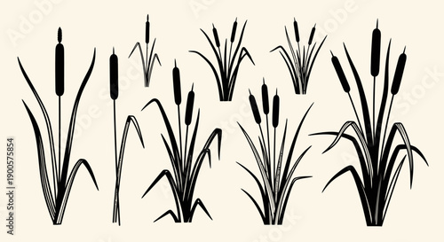 Collection of black silhouette illustrations of cattail plants in various sizes and arrangements on a light beige background.
