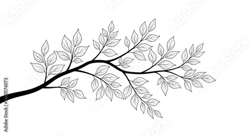 A detailed black and white illustration of a tree branch with numerous leaves.