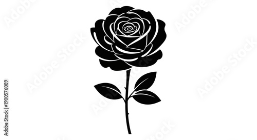 A striking black and white illustration of a single rose with detailed petals and leaves on a stem.