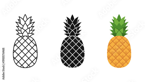 Three illustrations of pineapples in different styles Vector
