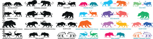 Bear silhouette collection featuring wild bears in walking and standing poses, flat vector illustration set with black and colorful styles, isolated design for wildlife icons, logos and graphics