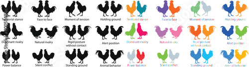 Chicken silhouette collection featuring roosters and hens in standing and walking poses, flat vector illustration set with black and colorful styles