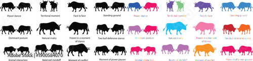 Buffalo silhouette collection featuring bison in standing and walking poses, flat vector illustration set with black and colorful styles, isolated design for wildlife, farm, icons and graphics