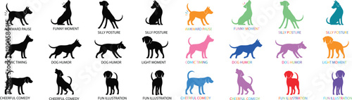 Cat silhouette collection featuring domestic cats in different poses, flat vector illustration set with black and colorful styles, isolated design for icons, logos, prints and graphics