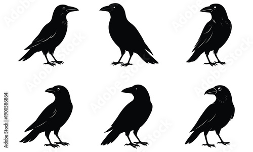 Set of Six Black Crow and Raven Silhouettes for Halloween and Gothic Design.