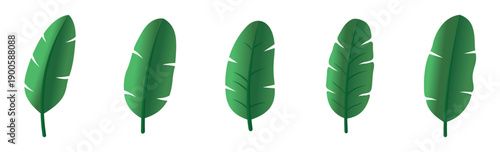 Set of Green Banana Leaves Illustration with Smooth Gradient Shading