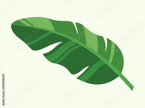Tropical Jungle Banana Foliage Element for Summer Background or Food Theme