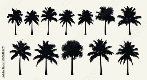 Diverse Collection of Silhouette Palm Trees on a Light Background, Tropical Vibes
