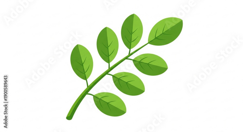 Green leafy branch with seven leaves on a white background ideal for nature and eco friendly designs symbolizing growth and freshness