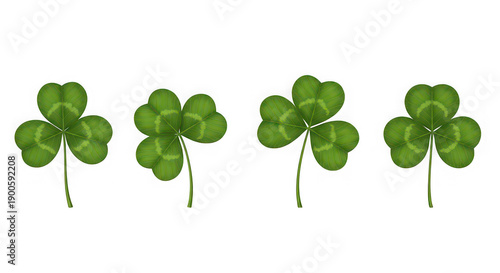 Four green clover leaves on transparent background