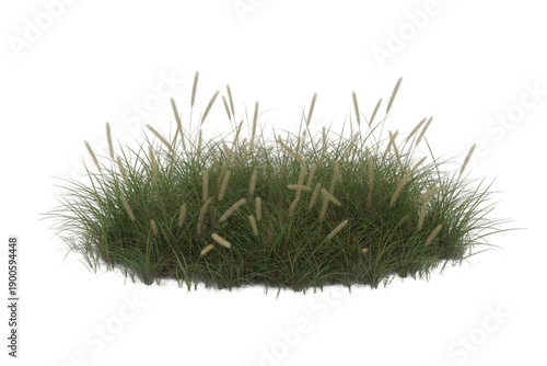 Realistic Green Grass Bush Isolated on White Background Natural Lawn Plant Texture