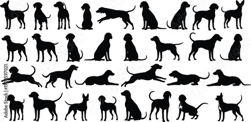 Dog silhouettes collection showing various breeds and poses including standing, sitting, running and jumping, black pet animal figures isolated on white background illustration