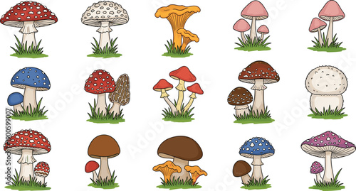 Colorful mushroom collection illustration, cute cartoon fungi species set with toadstools and forest mushrooms, hand drawn vector style artwork, isolated on white background