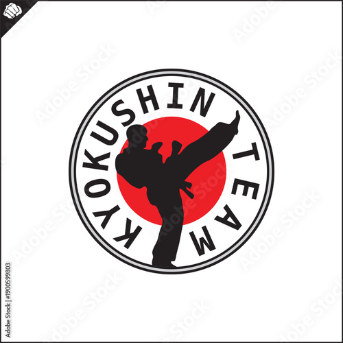 Martial art colored symbol, logo creative design emblem.