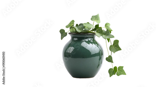Decorative Indoor Vase