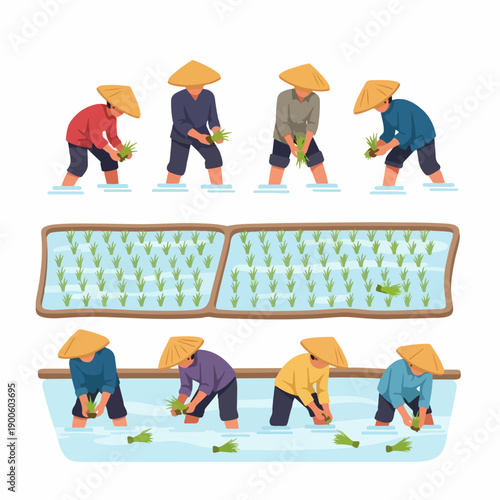 Asian farmers wearing traditional conical hats planting rice seedlings in flooded paddy fields, agricultural work vector illustration set.