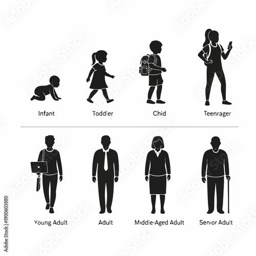 Human Age Stages and Life Cycle Icons: Silhouettes Representing Development Progression from Infant, Child, Teenager, to Senior Adult.
