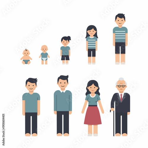 Human life cycle stages from baby to elderly person, illustrated in a flat design style depicting physical development and aging process.