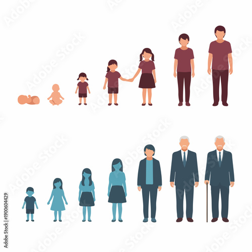 Stages of human growth and development. Vector illustration set showing the lifespan: baby, child, teenager, adult, and senior people progression.