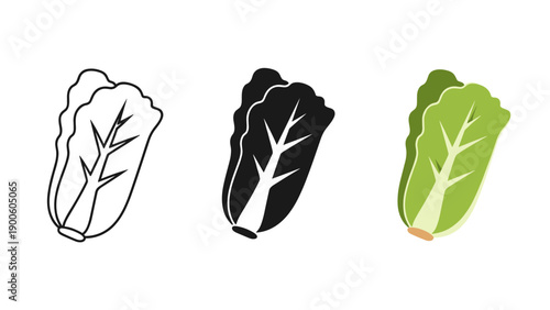 Three variations of a leafy green vegetable icon Vector