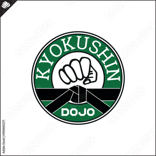 Martial art colored symbol, logo creative design emblem.