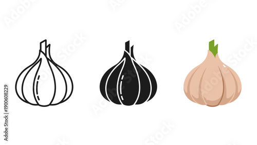 Three different illustrations of garlic bulbs Vector
